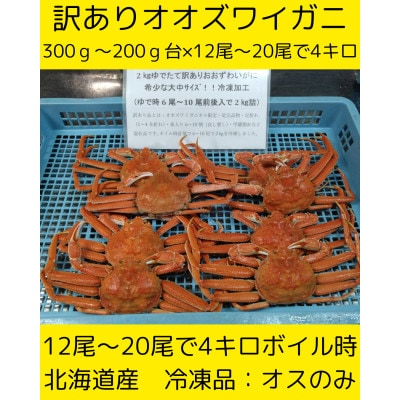 訳ありオオズワイガニ(大中サイズ)12尾から20尾で4kg　冷凍便