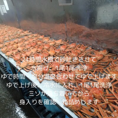 訳ありオオズワイガニ(大中サイズ)12尾から20尾で4kg　冷凍便