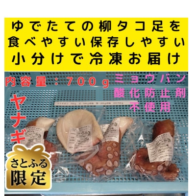 【さとふる限定】浜ゆでたこ 計700g 北海道白老町産