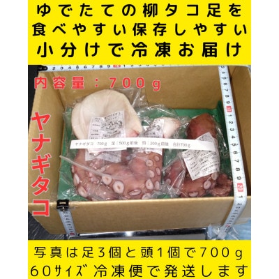 【さとふる限定】浜ゆでたこ 計700g 北海道白老町産