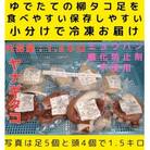 浜ゆでたこ 計1500g 北海道白老町産