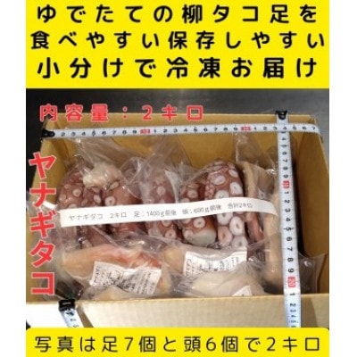 浜ゆでたこ 計2000g 北海道白老町産