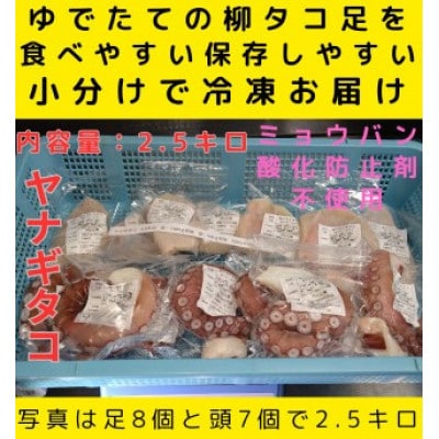 浜ゆでたこ 計2500g 北海道白老町産