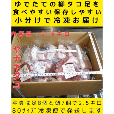 浜ゆでたこ 計2500g 北海道白老町産