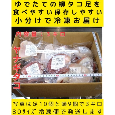 浜ゆでたこ 計3000g 北海道白老町産