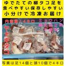 浜ゆでたこ 計4000g 北海道白老町産