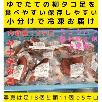 浜ゆでたこ 計5000g 北海道白老町産