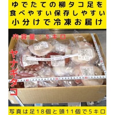 浜ゆでたこ 計5000g 北海道白老町産
