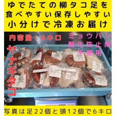 浜ゆでたこ 計6000g 北海道白老町産