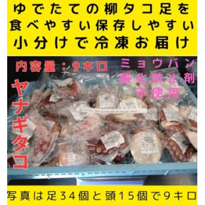 浜ゆでたこ 計9000g 北海道白老町産