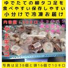 浜ゆでたこ 計10kg　北海道白老町産