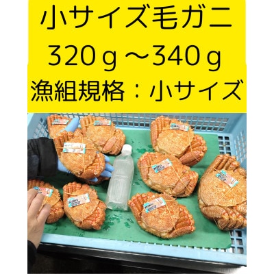 ゆでたて冷蔵便ボイル毛ガニ　300g～340g×3尾(活時計量) 噴火湾・胆振