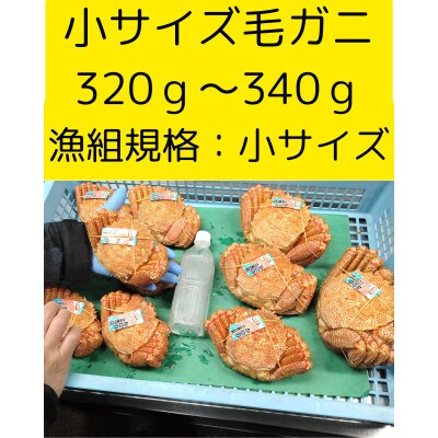 ゆでたて冷蔵便ボイル毛ガニ　300g～340g×4尾(活時計量) 噴火湾・胆振