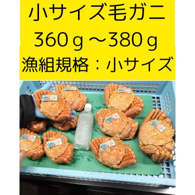 ゆでたて冷蔵便ボイル毛ガニ　350g～390g×3尾(活時計量) 噴火湾・胆振