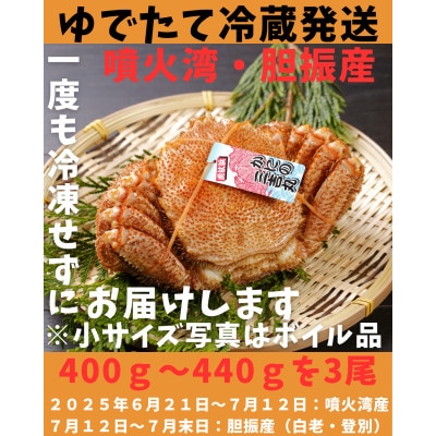 ゆでたて冷蔵便ボイル毛ガニ　400g～440g×3尾(活時計量) 噴火湾・胆振