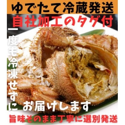 ゆでたて冷蔵便ボイル毛ガニ　400g～440g×3尾(活時計量) 噴火湾・胆振