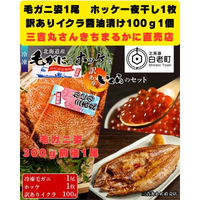 毛ガニ 冷凍 1尾 300g-340g前後・ホッケ1枚・訳ありイクラ100gセット