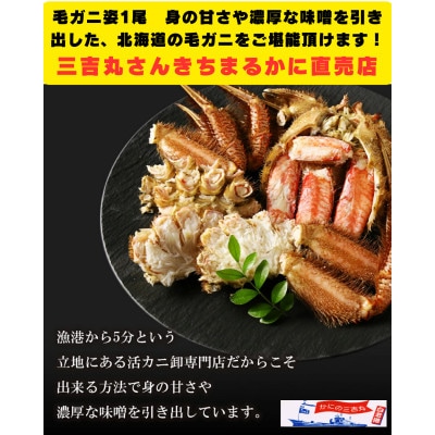 毛ガニ 冷凍 1尾 300g-340g前後・ホッケ1枚・訳ありイクラ100gセット