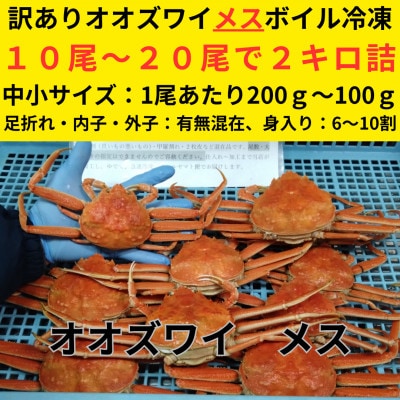 訳あり オオズワイガニメス (約100-200g前後) 浜ゆで 10～20尾で2kg