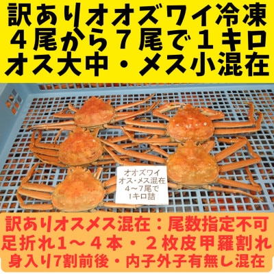 訳あり オオズワイガニオスメス混在　浜ゆで 4-7尾で1kg