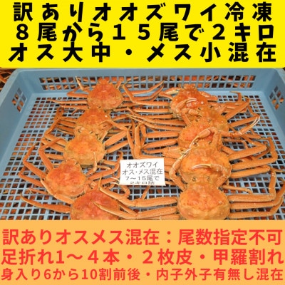 訳あり オオズワイガニオスメス混在　浜ゆで 8-15尾で2kg