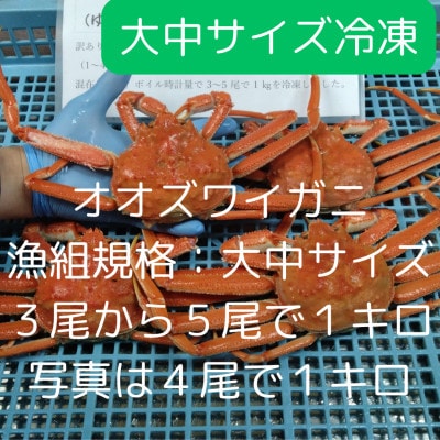 訳あり オオズワイガニオス 大中サイズ (約200-350g) 浜ゆで 3-5尾で1kg