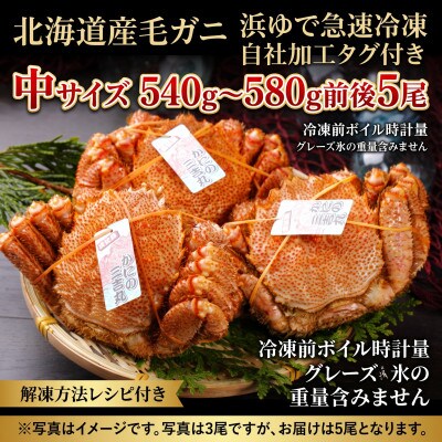 k0705【浜ゆで自社タグ付】北海道産ボイル毛ガニ540g～580g前後×5尾