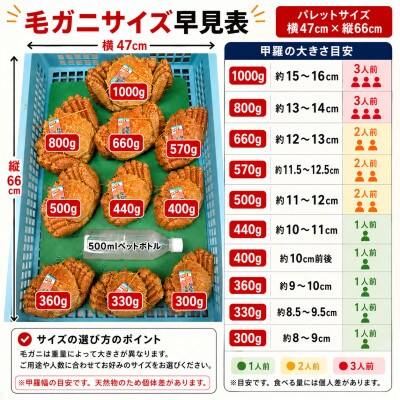 k0705【浜ゆで自社タグ付】北海道産ボイル毛ガニ540g～580g前後×5尾