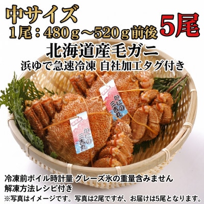 k0803【浜ゆで自社タグ付】北海道産ボイル毛ガニ 480g～520g前後×5尾