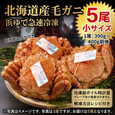 k1005【浜ゆで自社タグ付】北海道産ボイル毛ガニ390g～400g前後×5尾
