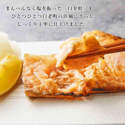 白金鮭《プラチナサーモン》 浜干し ハーフカットサイズ (900g)