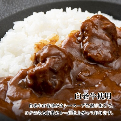 <徳寿>の和牛 ビーフカレー  200g×6袋セット
