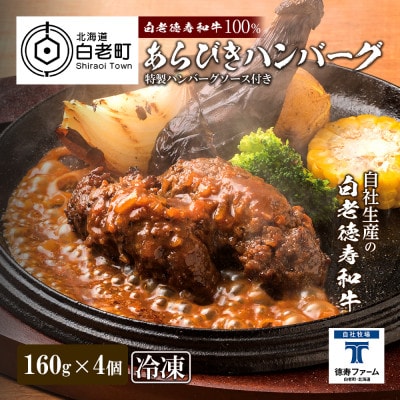 粗挽き 生 ハンバーグ  デミグラスソース付き 160g×4袋セット