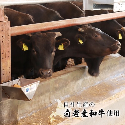 粗挽き 生 ハンバーグ  デミグラスソース付き 160g×8袋セット