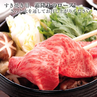 白老牛 すき焼き 霜降り ロース 500g 特製すき焼きのたれ付き