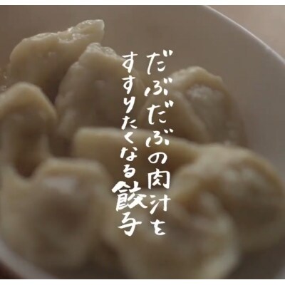 北海道白老町　だぶだぶの肉汁をすすりたくなる餃子　100個(20個入×5P)
