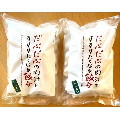 北海道白老町　だぶだぶの肉汁をすすりたくなる餃子　60個(30個入×2P)