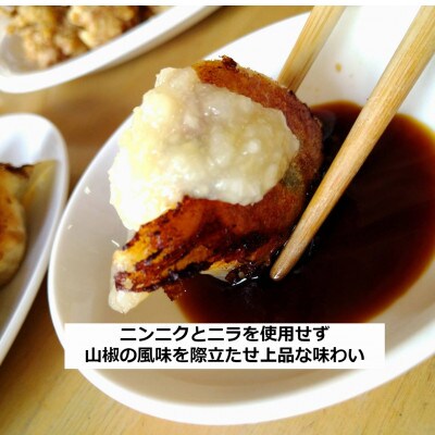 北海道白老町　だぶだぶの肉汁をすすりたくなる餃子　90個(30個入×3P)