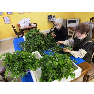 グランマ自家焙煎の野草茶3個入り×3パック