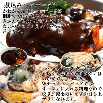 白老牛ハンバーグ昔の洋食屋風デミグラスソース (デミソース)付 200g×5個