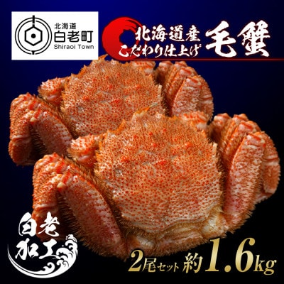 毛蟹 ボイル済み 冷凍 2尾セット 約1.6kg BM033