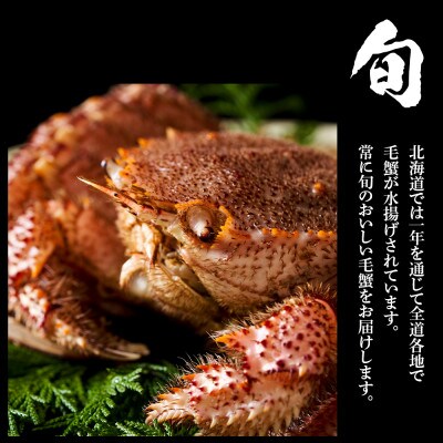 毛蟹 ボイル済み 冷凍 4尾セット 約3.2kg BM035