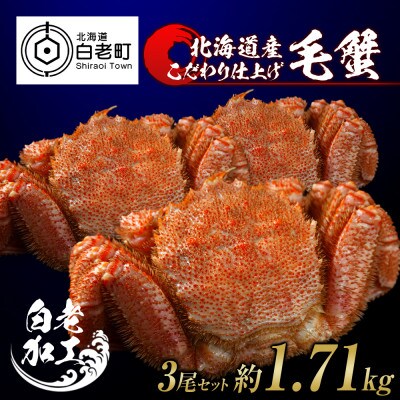 毛蟹 ボイル済み 冷凍 3尾セット 約1.71kg BM044