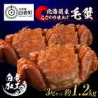 毛蟹 ボイル済み 冷凍 3尾セット 約1.2kg BM059