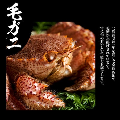 ズワイ姿 & 毛蟹 食べ比べ セット BM065