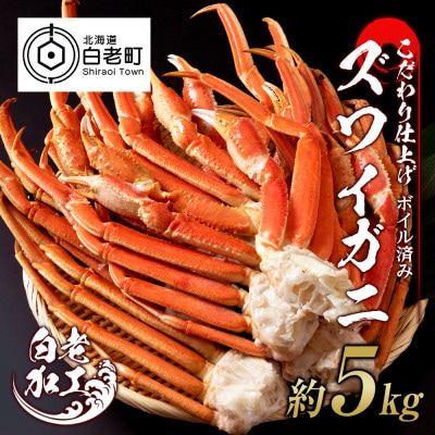 訳あり 本ズワイ蟹脚 ボイル冷凍 5kg(14～40肩前後)