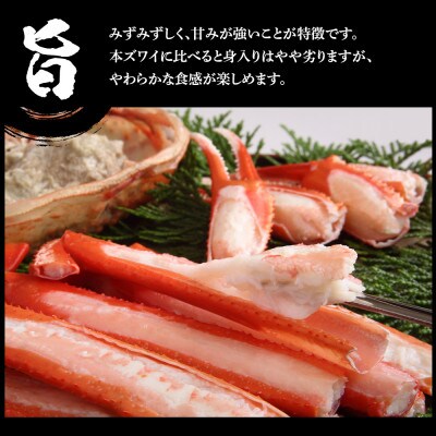 【父の日】 訳あり 紅ズワイ蟹脚 ボイル冷凍 5kg(14～24肩)