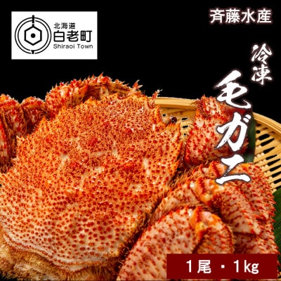 冷凍毛がに約1kg×1尾【斉藤水産】 AM002