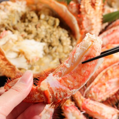 大サイズ!冷凍毛がに約650g×1尾【斉藤水産】 AM006