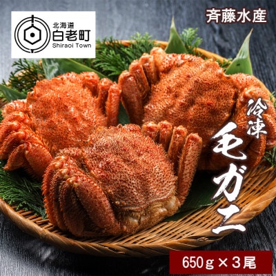 大サイズ!冷凍毛がに約650g×3尾【斉藤水産】 AM008